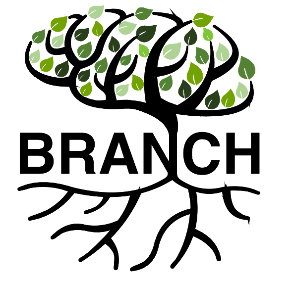 Branch - Boston Remote Assessment for Neurocognitive Health